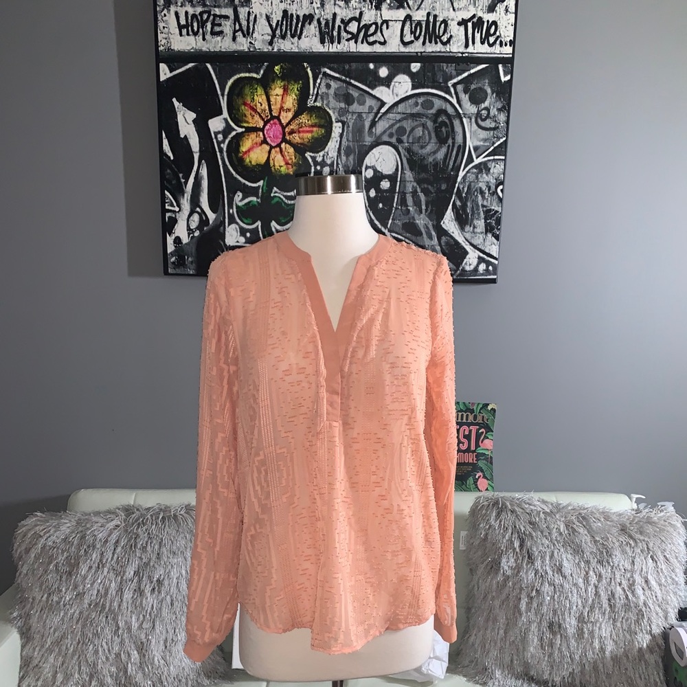 Peach Semi-Sheer Limited Blouse.